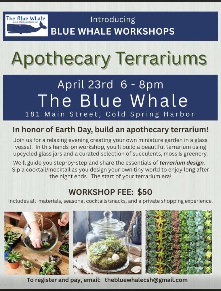 Blue Whale Workshops - Apothecary Terrariums
