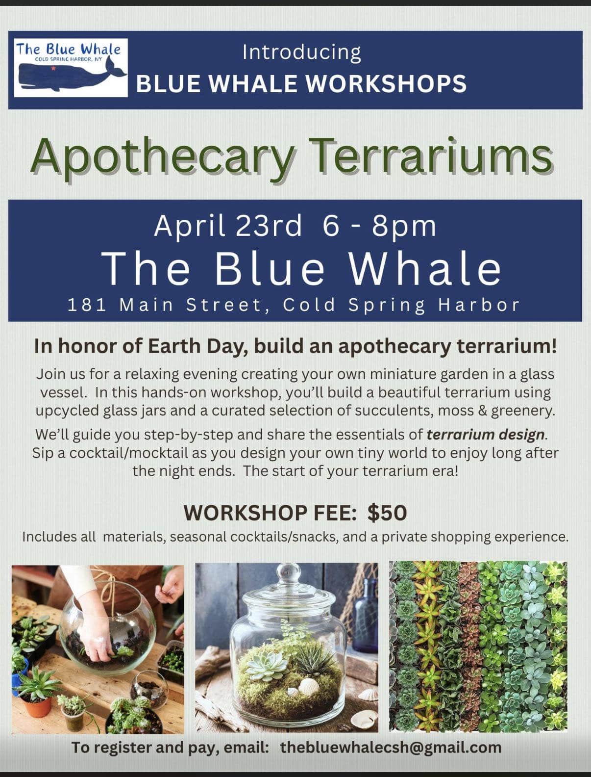 Blue Whale Workshops - Apothecary Terrariums