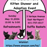 Kitten Shower and Adoption Event – Free