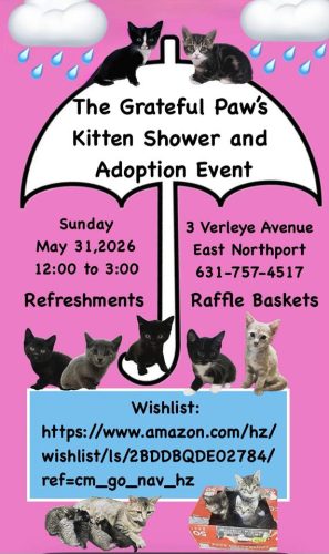 Kitten Shower and Adoption Event - Free
