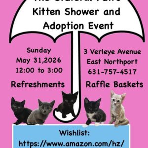 Kitten Shower and Adoption Event - Free