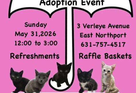 Kitten Shower and Adoption Event - Free
