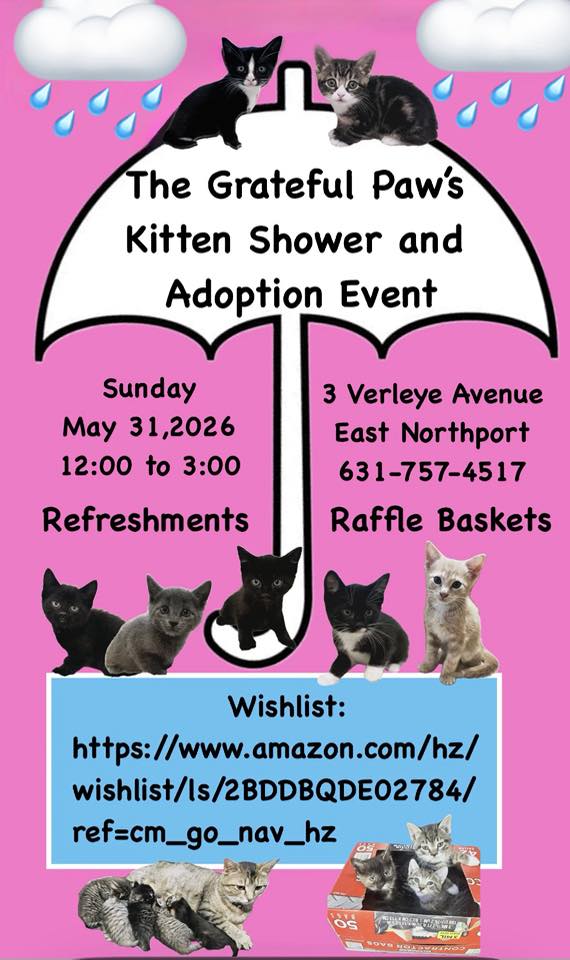 Kitten Shower and Adoption Event – Free