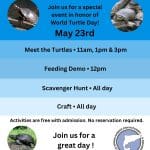 World Turtle Day - Cold Spring Harbor Fish Hatchery and Aquarium