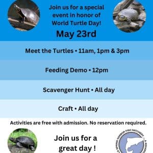 World Turtle Day - Cold Spring Harbor Fish Hatchery and Aquarium
