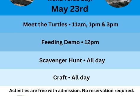 World Turtle Day - Cold Spring Harbor Fish Hatchery and Aquarium