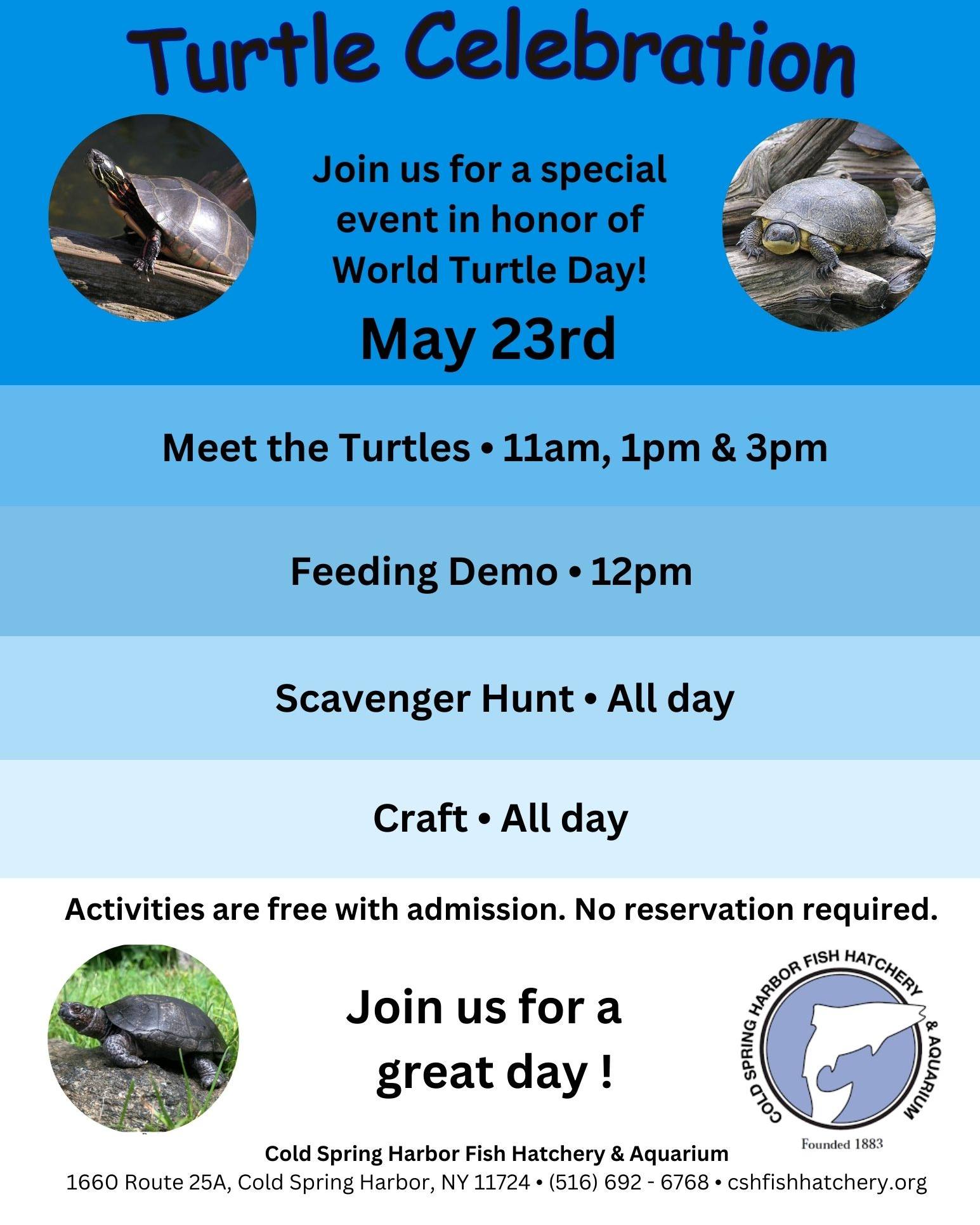 World Turtle Day - Cold Spring Harbor Fish Hatchery and Aquarium