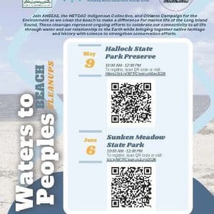 Long Island Sound Beach Cleanup at Sunken Meadow State Park - Free