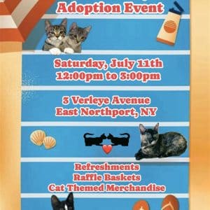 Grateful Paw Cat Shelter Beach Party Adoption Event - Free