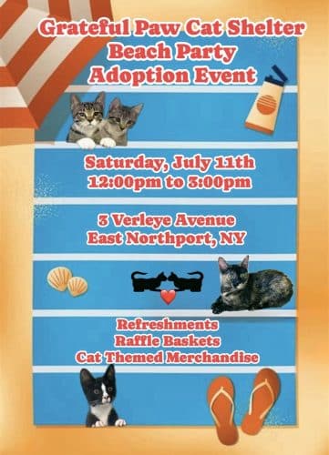 Grateful Paw Cat Shelter Beach Party Adoption Event - Free