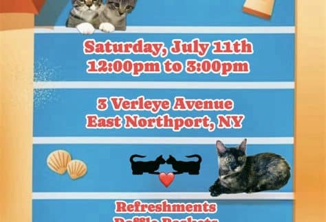 Grateful Paw Cat Shelter Beach Party Adoption Event - Free