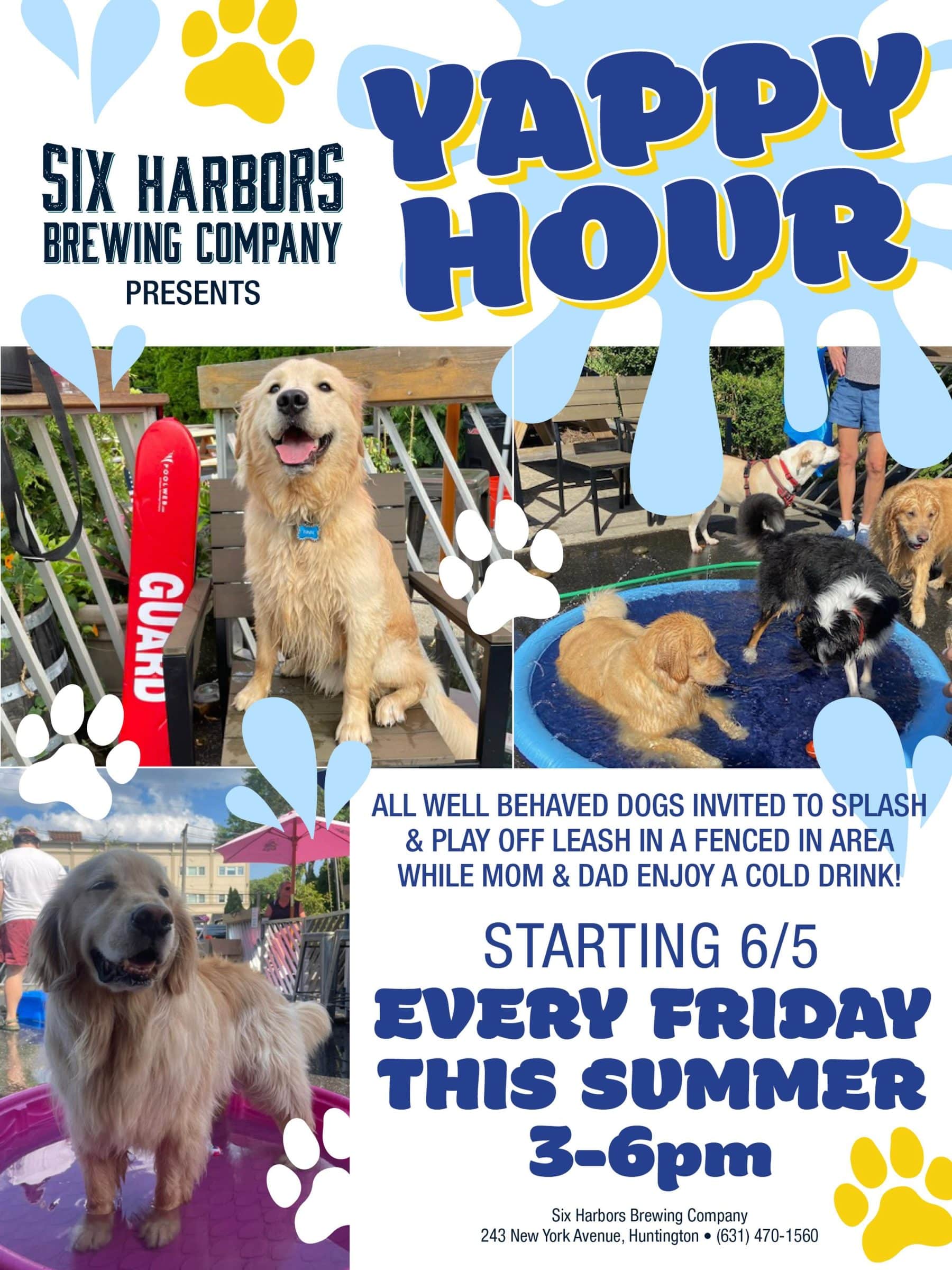 Yappy Hour At Six Harbors Brewing Co