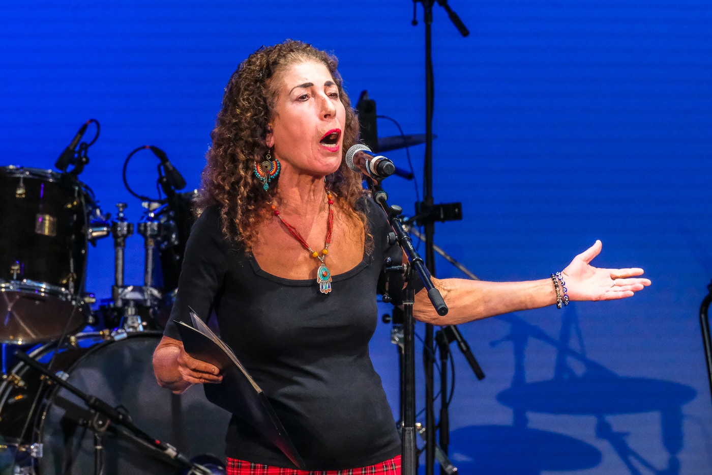 Judy Merrick. Wild About Harry: Huntington Celebrates the Legacy of Harry Chapin