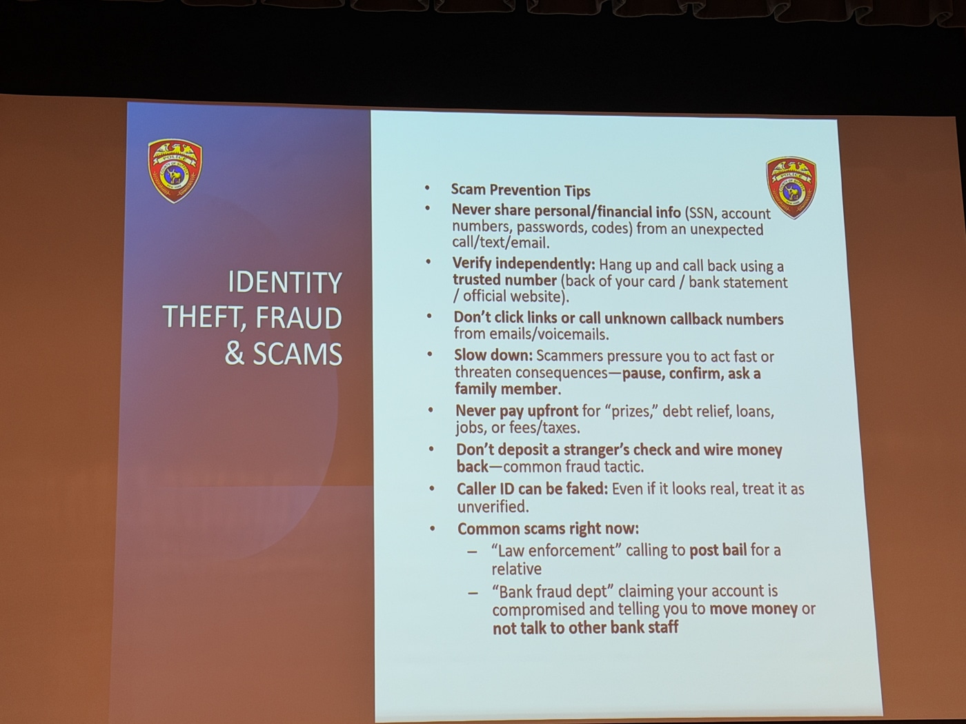 Identity Theft, Fraud and Scams. Illegal Massage Business Enterprise Dismantled: July 2026 Suffolk County Police Department 2nd Precinct Community Meeting