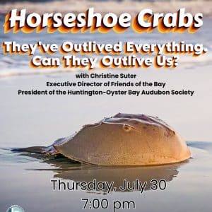 Horseshoe Crabs: They've Outlived Everything. Can They Outlive Us? – Free