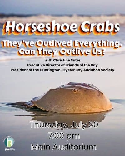 Horseshoe Crabs: They've Outlived Everything. Can They Outlive Us? – Free