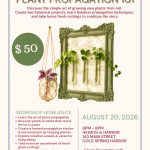 Plant Propagation 101 – Hearth And Harbor