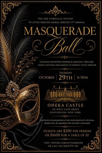 Little Shelter’s 17th Annual Masquerade Gala