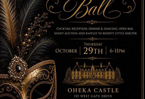 Little Shelter’s 17th Annual Masquerade Gala