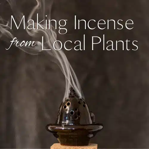 Making Incense From Local Plants