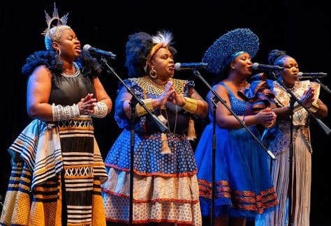 Nobuntu — Joy, Rhythm, and the Power of Voice