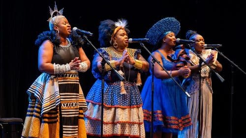 Nobuntu — Joy, Rhythm, and the Power of Voice