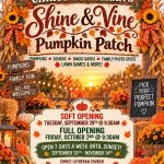 Christ Lutheran’s Shine & Vine Pumpkin Patch