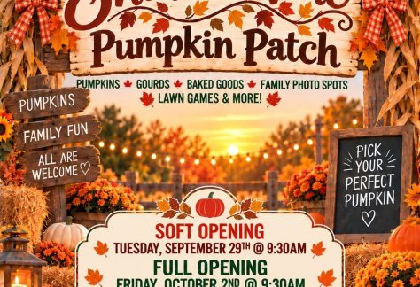 Christ Lutheran’s Shine & Vine Pumpkin Patch