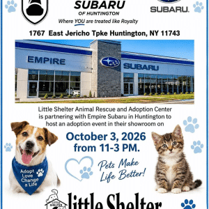Little Shelter Pet Adoption Event at Empire Subaru - Free