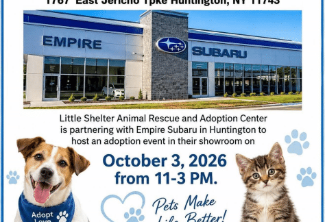 Little Shelter Pet Adoption Event at Empire Subaru - Free