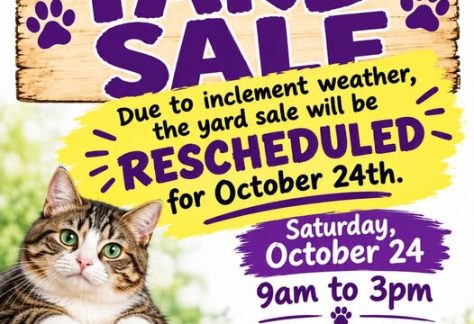 Grateful Paw Cat Shelter Yard Sale – Free