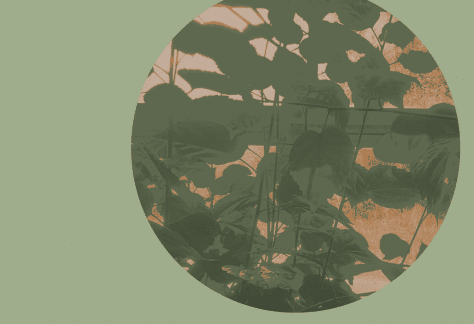 places i saw you last — Live Electroacoustic Set