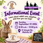 All About Rabbits Rescue Informational Event - Free