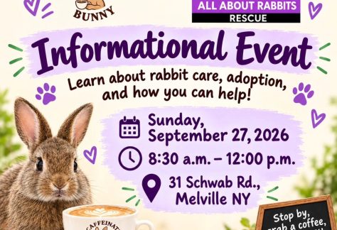 All About Rabbits Rescue Informational Event - Free
