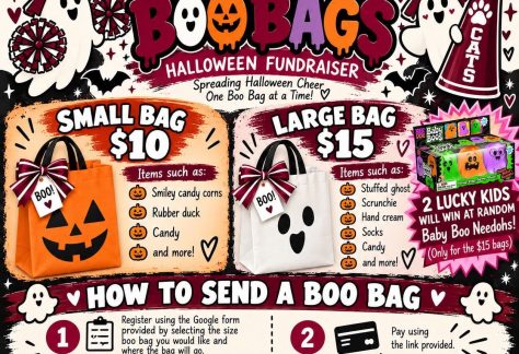 Walt Whitman Varsity Cheerleaders Boo Bags Halloween Fundraiser - South Huntington Residents